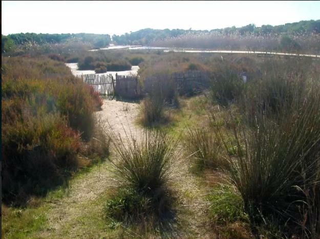 Casa Pescadores De Vallterra El Palmar  Zewnętrze zdjęcie